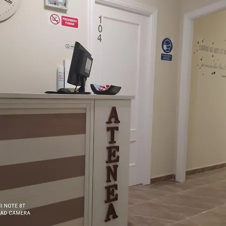 Atenea Pilgrims *